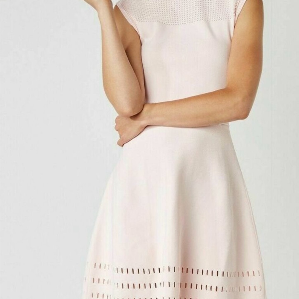 Ted Baker London Knit Skater Dress